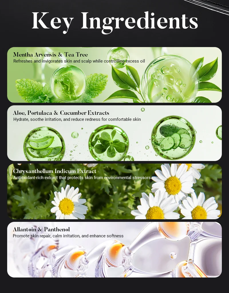 Collage highlighting key cosmetic ingredients: mentha arvensis & tea tree, aloe, portulaca & cucumber extracts, chrysanthellum indicum extract, allantoin & panthenol.